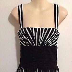 White House Black Market Striped Fit-n-Flare Dress